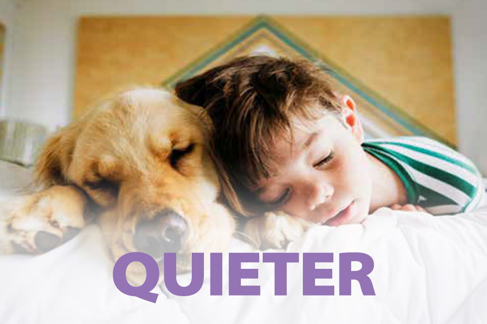 Boy sleeping next to dog